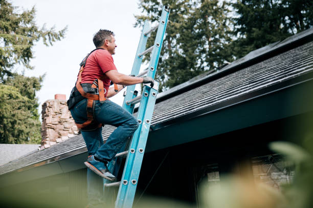 Best 4 Ply Roofing  in Weslaco, TX