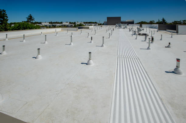 Best Roof Moss and Algae Removal  in Weslaco, TX